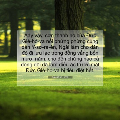 Picture 07 - Dân Số 32:13 VIE - Aáy vậy, cơn thạnh nộ của Đức - Bible Verse Picture