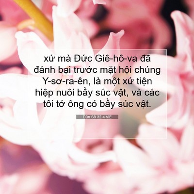Picture 07 - Dân Số 32:4 VIE - xứ mà Đức Giê-hô-va đã đánh bại - Bible Verse Picture
