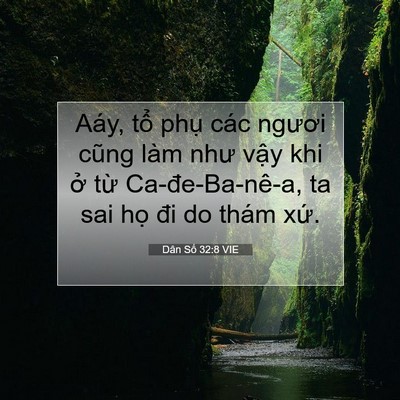 Picture 07 - Dân Số 32:8 VIE - Aáy, tổ phụ các ngươi cũng làm như - Bible Verse Picture