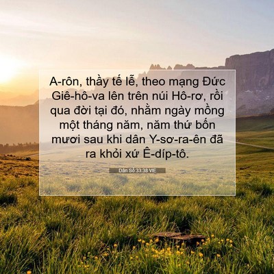 Picture 07 - Dân Số 33:38 VIE - A-rôn, thầy tế lễ, theo mạng Đức - Bible Verse Picture