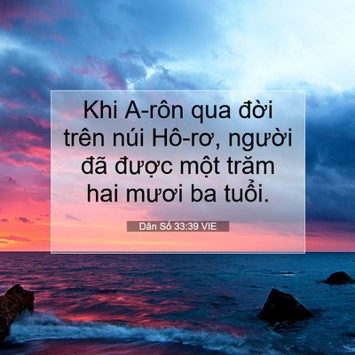 Picture 07 - Dân Số 33:39 VIE - Khi A-rôn qua đời trên núi Hô-rơ, - Bible Verse Picture