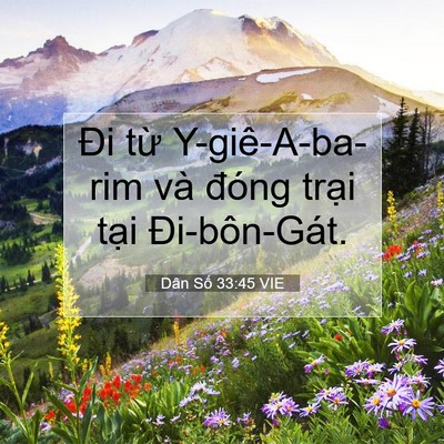 Picture 07 - Dân Số 33:45 VIE - Đi từ Y-giê-A-ba-rim và đóng trại tại - Bible Verse Picture