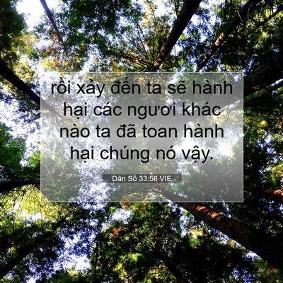 Picture 07 - Dân Số 33:56 VIE - rồi xảy đến ta sẽ hành hại các - Bible Verse Picture