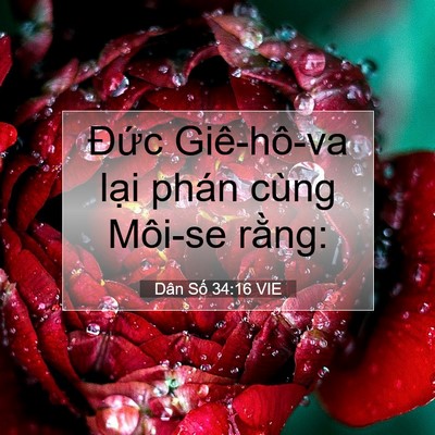 Picture 07 - Dân Số 34:16 VIE - Đức Giê-hô-va lại phán cùng Môi-se - Bible Verse Picture