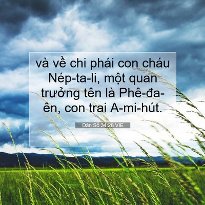Picture 07 - Dân Số 34:28 VIE - và về chi phái con cháu Nép-ta-li, một - Bible Verse Picture