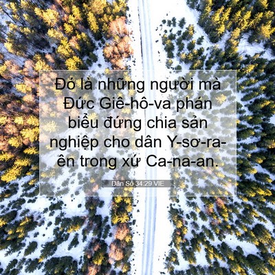 Picture 07 - Dân Số 34:29 VIE - Đó là những người mà Đức Giê-hô-va - Bible Verse Picture