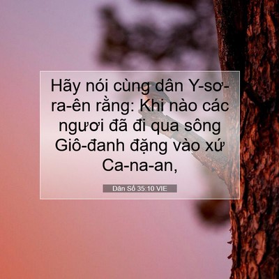 Picture 07 - Dân Số 35:10 VIE - Hãy nói cùng dân Y-sơ-ra-ên rằng: Khi - Bible Verse Picture