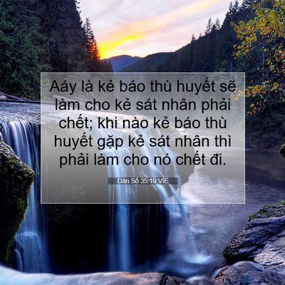 Picture 07 - Dân Số 35:19 VIE - Aáy là kẻ báo thù huyết sẽ làm cho - Bible Verse Picture