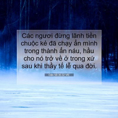 Picture 07 - Dân Số 35:32 VIE - Các ngươi đừng lãnh tiền chuộc kẻ - Bible Verse Picture