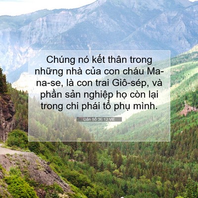 Picture 07 - Dân Số 36:12 VIE - Chúng nó kết thân trong những nhà của - Bible Verse Picture