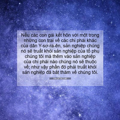 Picture 07 - Dân Số 36:3 VIE - Nếu các con gái kết hôn với một trong - Bible Verse Picture
