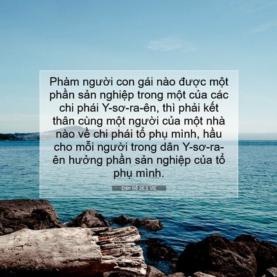 Picture 07 - Dân Số 36:8 VIE - Phàm người con gái nào được một - Bible Verse Picture