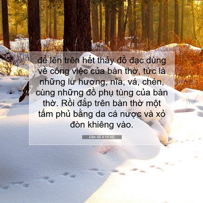 Picture 07 - Dân Số 4:14 VIE - để lên trên hết thảy đồ đạc dùng - Bible Verse Picture