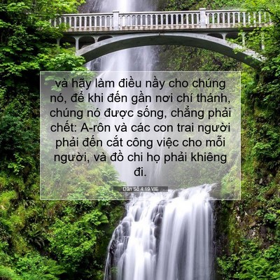 Picture 07 - Dân Số 4:19 VIE - và hãy làm điều nầy cho chúng nó, để - Bible Verse Picture