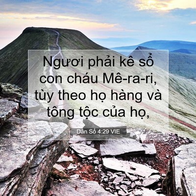 Picture 07 - Dân Số 4:29 VIE - Ngươi phải kê sổ con cháu Mê-ra-ri, tùy - Bible Verse Picture