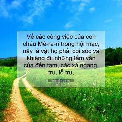 Picture 07 - Dân Số 4:31 VIE - Về các công việc của con cháu Mê-ra-ri - Bible Verse Picture