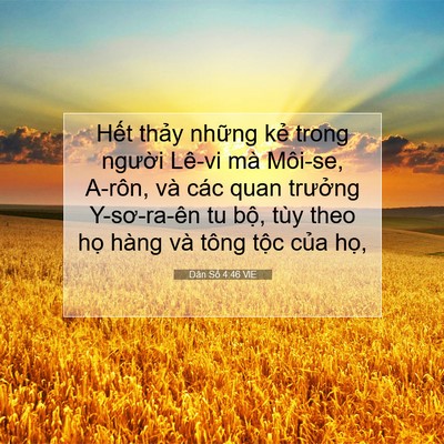 Picture 07 - Dân Số 4:46 VIE - Hết thảy những kẻ trong người Lê-vi - Bible Verse Picture