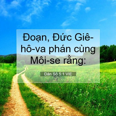 Picture 07 - Dân Số 5:1 VIE - Đoạn, Đức Giê-hô-va phán cùng Môi-se - Bible Verse Picture