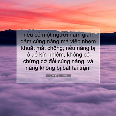 Picture 07 - Dân Số 5:13 VIE - nếu có một người nam gian dâm cùng - Bible Verse Picture