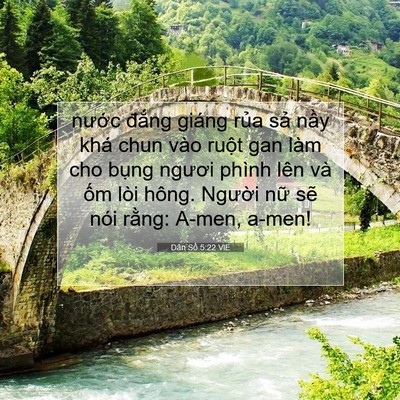 Picture 07 - Dân Số 5:22 VIE - nước đắng giáng rủa sả nầy khá chun - Bible Verse Picture