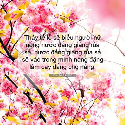 Picture 07 - Dân Số 5:24 VIE - Thầy tế lễ sẽ biểu người nữ uống - Bible Verse Picture
