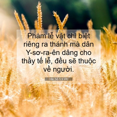 Picture 07 - Dân Số 5:9 VIE - Phàm lễ vật chi biệt riêng ra thánh mà - Bible Verse Picture