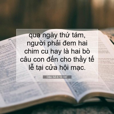Picture 07 - Dân Số 6:10 VIE - qua ngày thứ tám, người phải đem hai - Bible Verse Picture