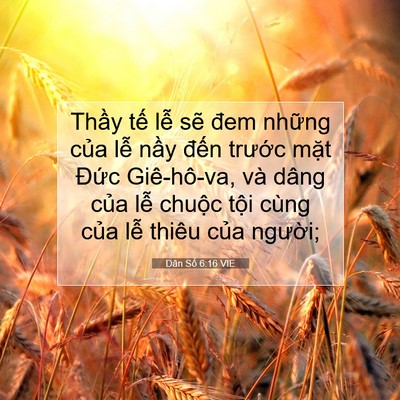 Picture 07 - Dân Số 6:16 VIE - Thầy tế lễ sẽ đem những của lễ - Bible Verse Picture