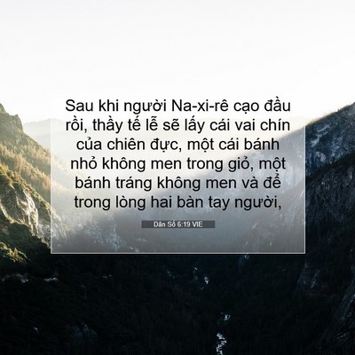 Picture 07 - Dân Số 6:19 VIE - Sau khi người Na-xi-rê cạo đầu rồi, - Bible Verse Picture