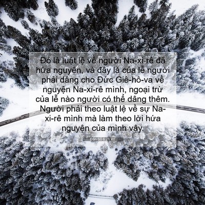 Picture 07 - Dân Số 6:21 VIE - Đó là luật lệ về người Na-xi-rê đã - Bible Verse Picture