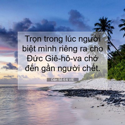 Picture 07 - Dân Số 6:6 VIE - Trọn trong lúc người biệt mình riêng ra - Bible Verse Picture
