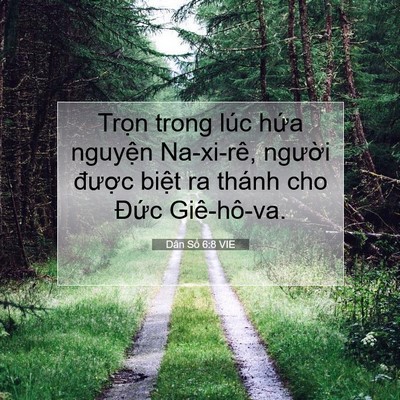 Picture 07 - Dân Số 6:8 VIE - Trọn trong lúc hứa nguyện Na-xi-rê, - Bible Verse Picture