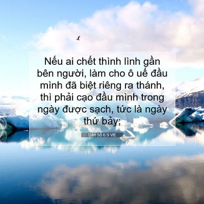 Picture 07 - Dân Số 6:9 VIE - Nếu ai chết thình lình gần bên người, - Bible Verse Picture