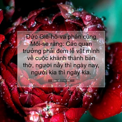 Picture 07 - Dân Số 7:11 VIE - Đức Giê-hô-va phán cùng Môi-se rằng: - Bible Verse Picture