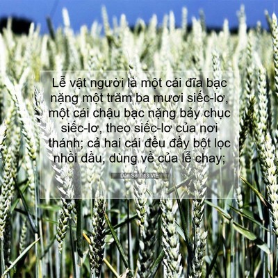 Picture 07 - Dân Số 7:13 VIE - Lễ vật người là một cái đĩa bạc - Bible Verse Picture
