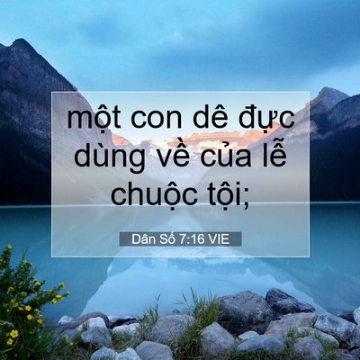 Picture 07 - Dân Số 7:16 VIE - một con dê đực dùng về của lễ - Bible Verse Picture