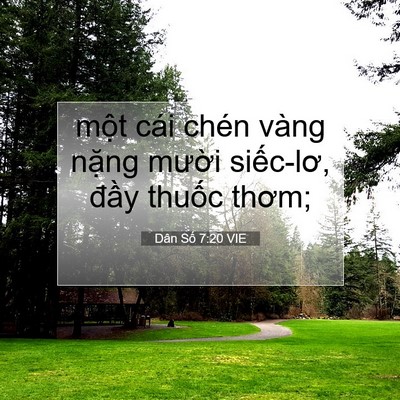 Picture 07 - Dân Số 7:20 VIE - một cái chén vàng nặng mười siếc-lơ, - Bible Verse Picture