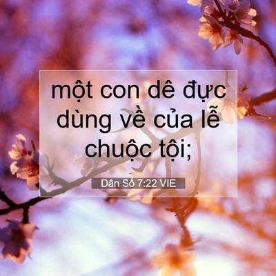 Picture 07 - Dân Số 7:22 VIE - một con dê đực dùng về của lễ - Bible Verse Picture