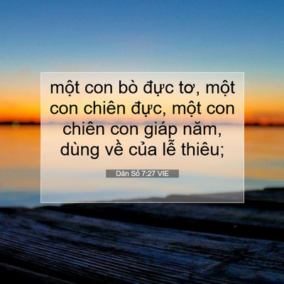 Picture 07 - Dân Số 7:27 VIE - một con bò đực tơ, một con chiên - Bible Verse Picture