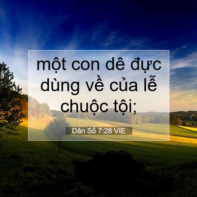 Picture 07 - Dân Số 7:28 VIE - một con dê đực dùng về của lễ - Bible Verse Picture