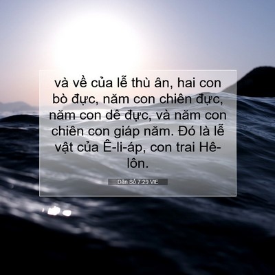Picture 07 - Dân Số 7:29 VIE - và về của lễ thù ân, hai con bò đực, - Bible Verse Picture