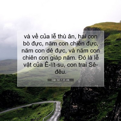 Picture 07 - Dân Số 7:35 VIE - và về của lễ thù ân, hai con bò đực, - Bible Verse Picture