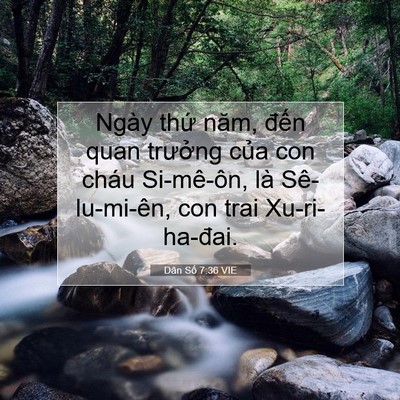 Picture 07 - Dân Số 7:36 VIE - Ngày thứ năm, đến quan trưởng của con - Bible Verse Picture