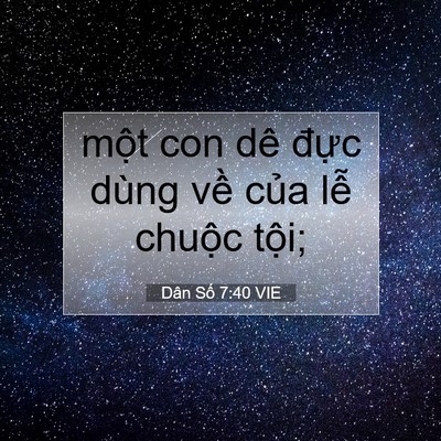 Picture 07 - Dân Số 7:40 VIE - một con dê đực dùng về của lễ - Bible Verse Picture