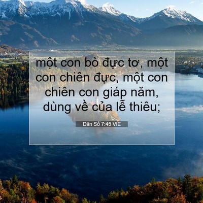 Picture 07 - Dân Số 7:45 VIE - một con bò đực tơ, một con chiên - Bible Verse Picture