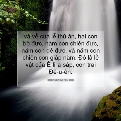Picture 07 - Dân Số 7:47 VIE - và về của lễ thù ân, hai con bò đực, - Bible Verse Picture