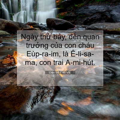 Picture 07 - Dân Số 7:48 VIE - Ngày thứ bảy, đến quan trưởng của - Bible Verse Picture