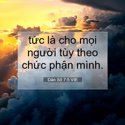 Picture 07 - Dân Số 7:5 VIE - tức là cho mọi người tùy theo chức - Bible Verse Picture