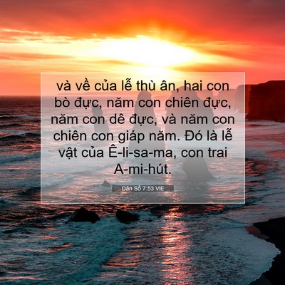 Picture 07 - Dân Số 7:53 VIE - và về của lễ thù ân, hai con bò đực, - Bible Verse Picture