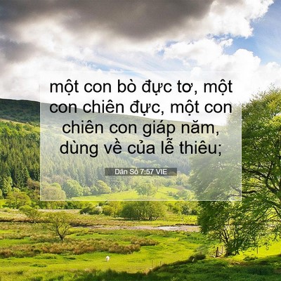 Picture 07 - Dân Số 7:57 VIE - một con bò đực tơ, một con chiên - Bible Verse Picture